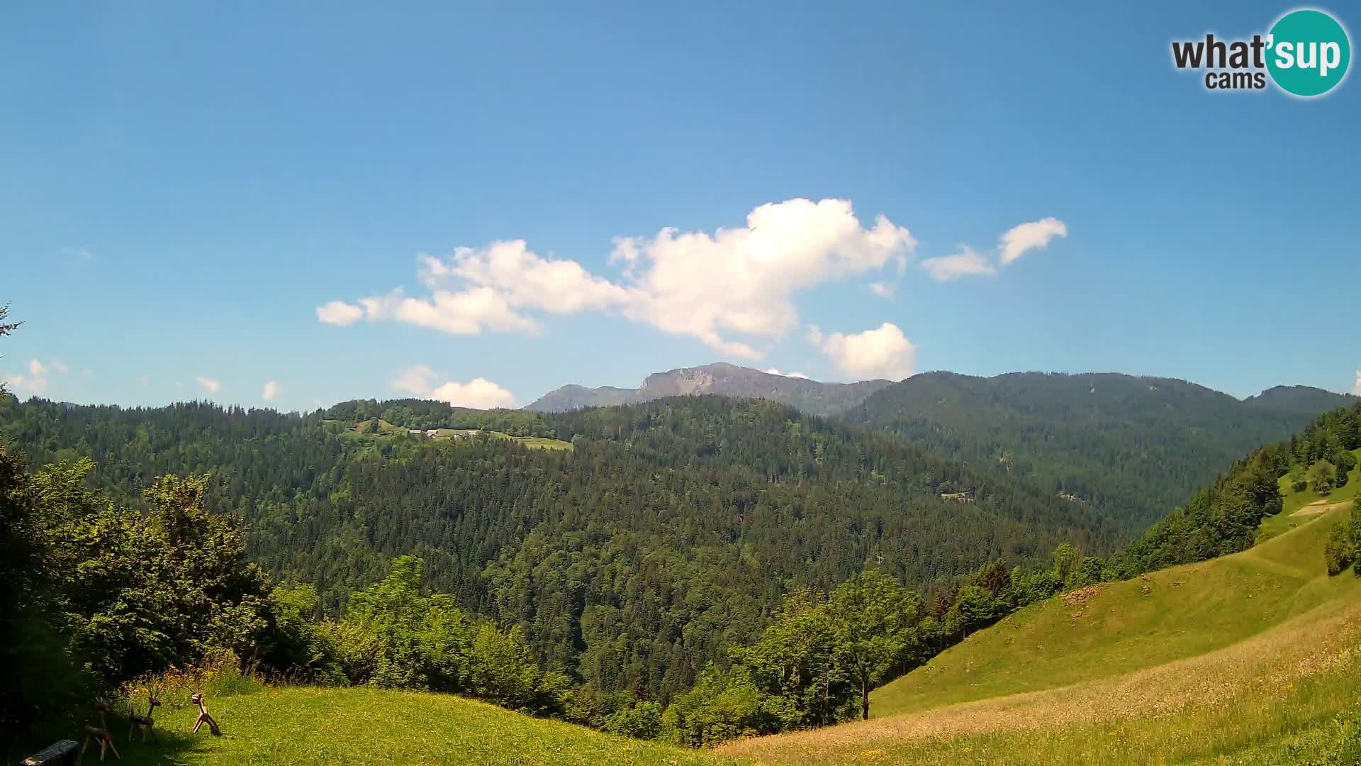 Spletna kamera Brunarica Dražgoše – Pogled v živo na Ratitovec (1666 m)
