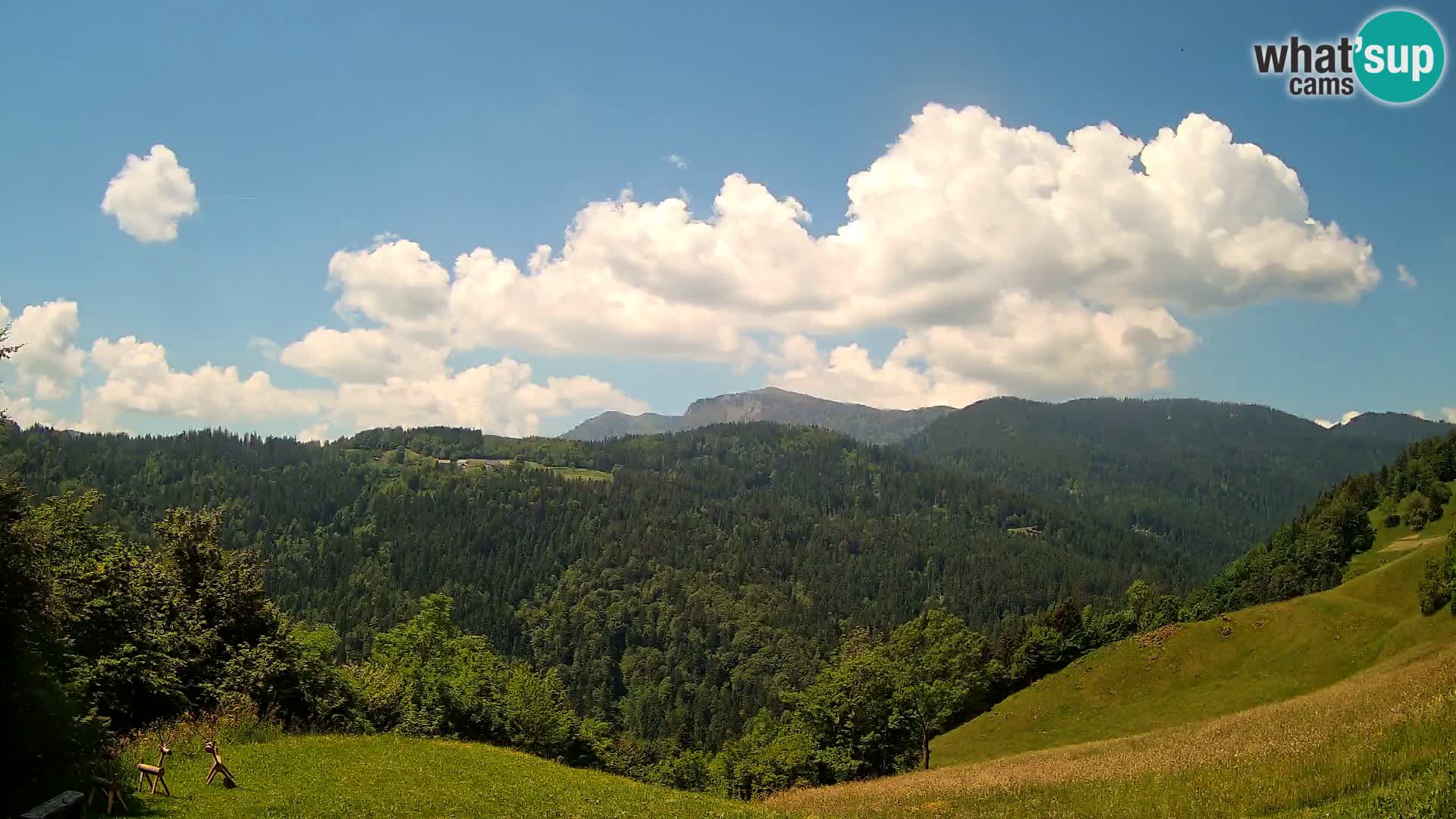 Webcam Brunarica Dražgoše – Vista live sul Ratitovec (1666 m)