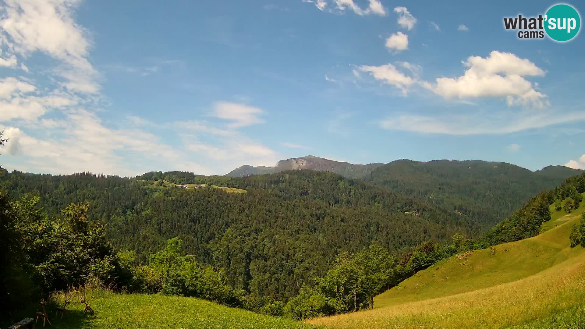 Spletna kamera Brunarica Dražgoše – Pogled v živo na Ratitovec (1666 m)