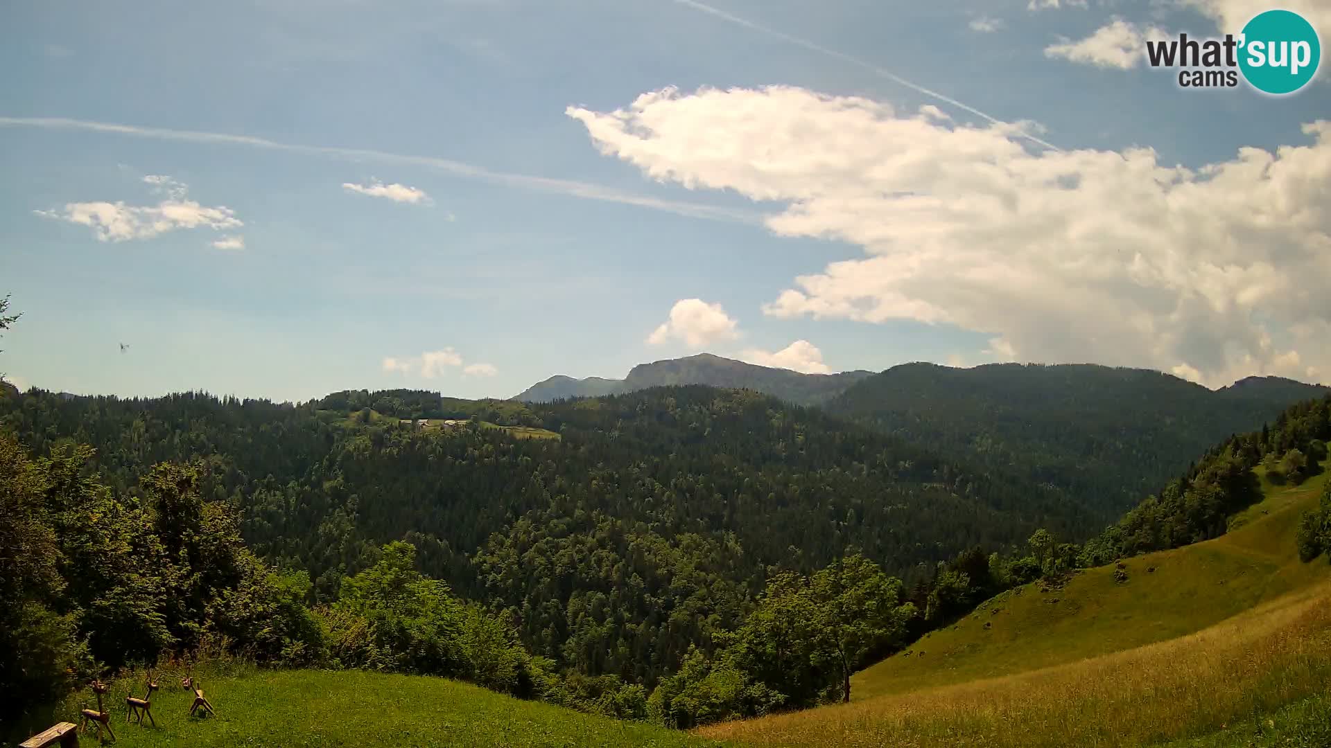 Webcam Brunarica Dražgoše – Live View of Ratitovec (1666 m)
