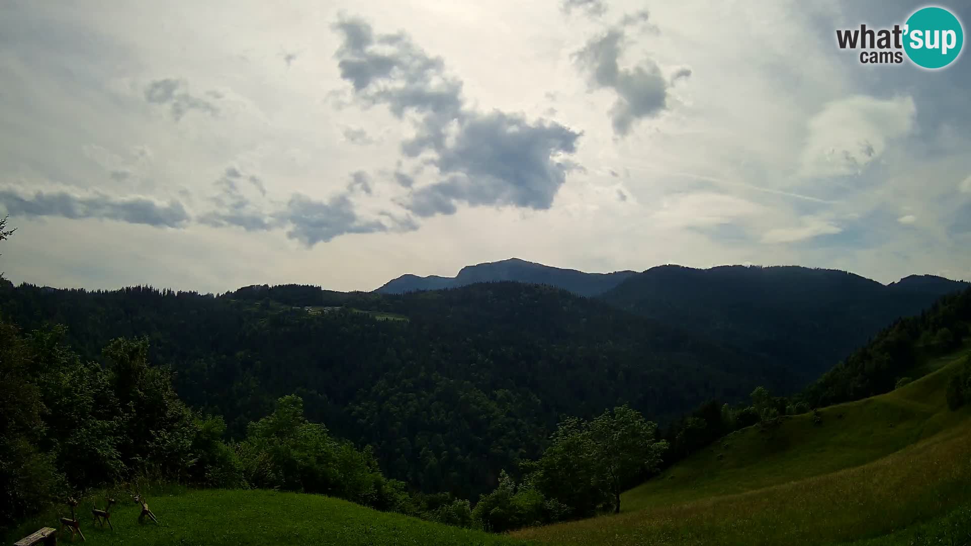 Webcam Brunarica Dražgoše – Live View of Ratitovec (1666 m)