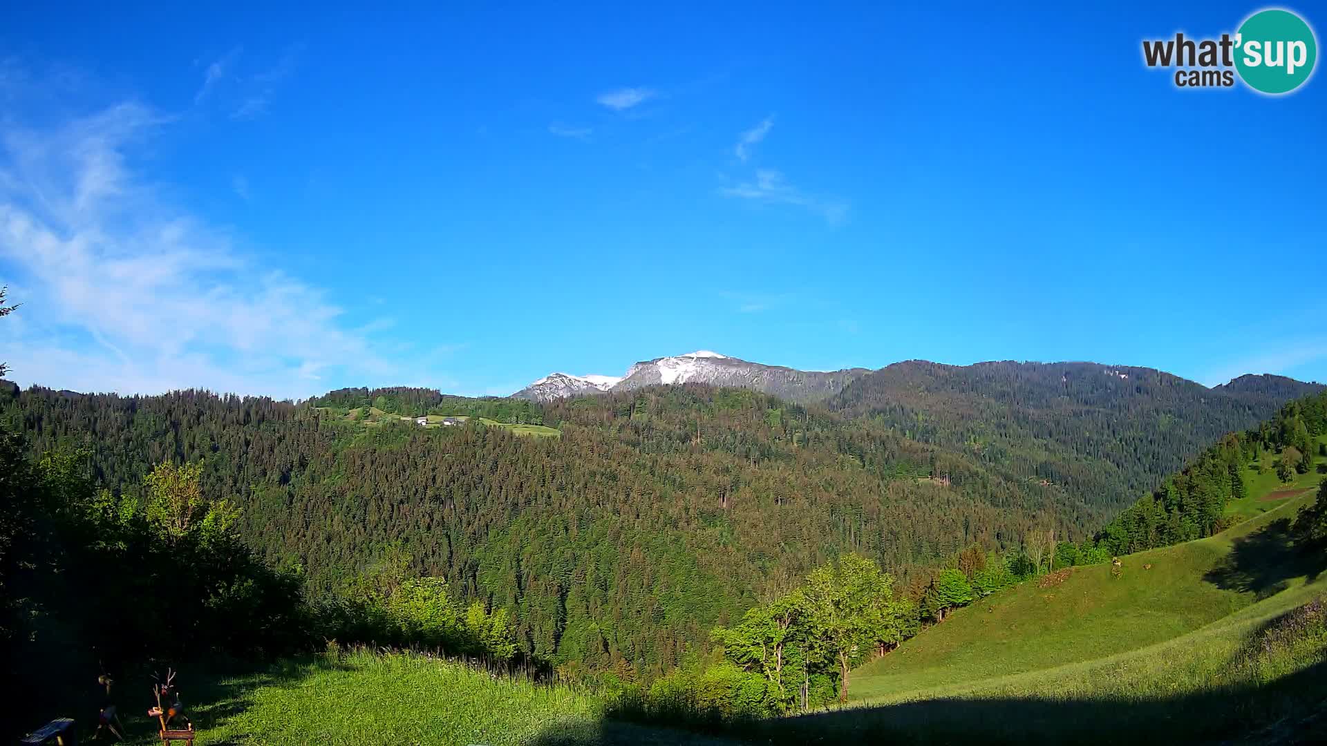 Webcam Brunarica Dražgoše – Live View of Ratitovec (1666 m)