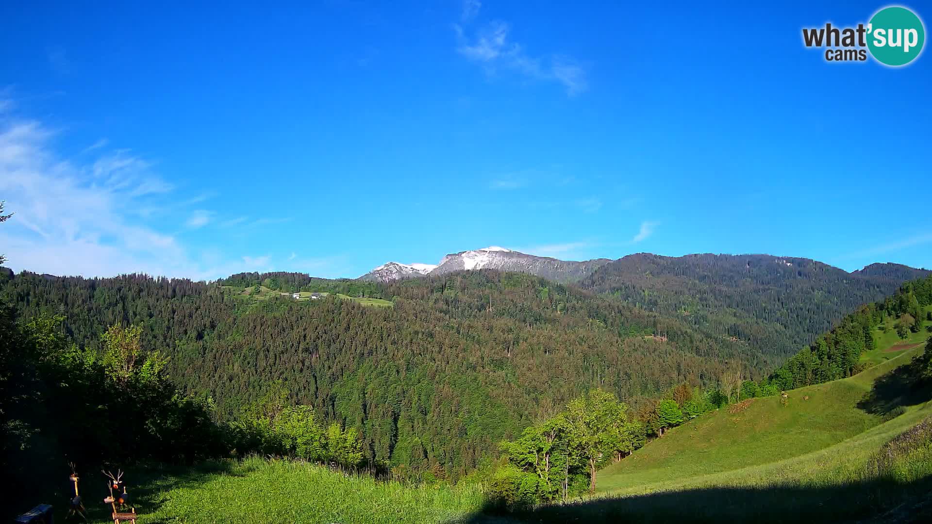 Webcam Brunarica Dražgoše – Live View of Ratitovec (1666 m)