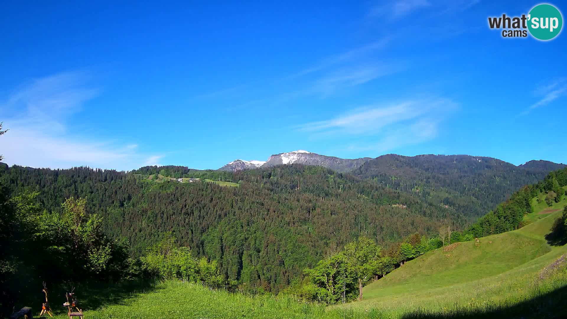 Webcam Brunarica Dražgoše – Live View of Ratitovec (1666 m)
