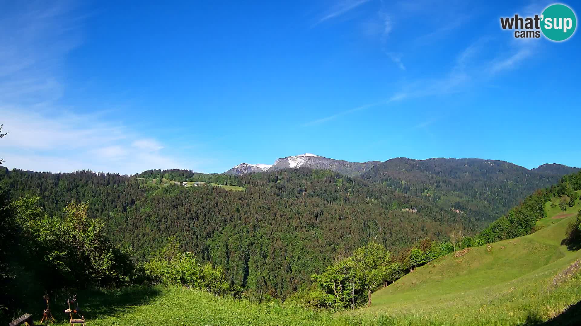 Webcam Brunarica Dražgoše – Live View of Ratitovec (1666 m)