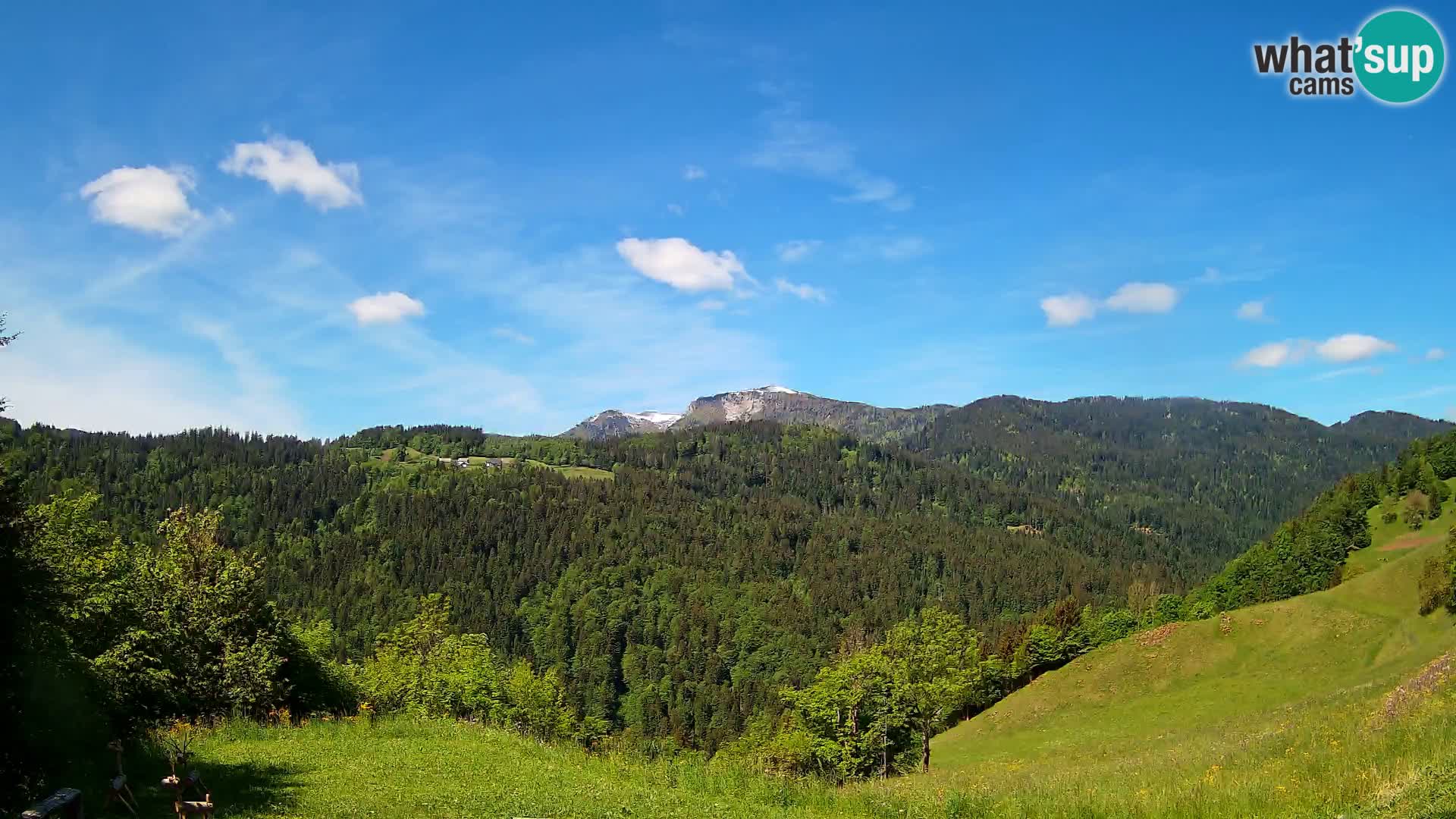 Webcam Brunarica Dražgoše – Live View of Ratitovec (1666 m)