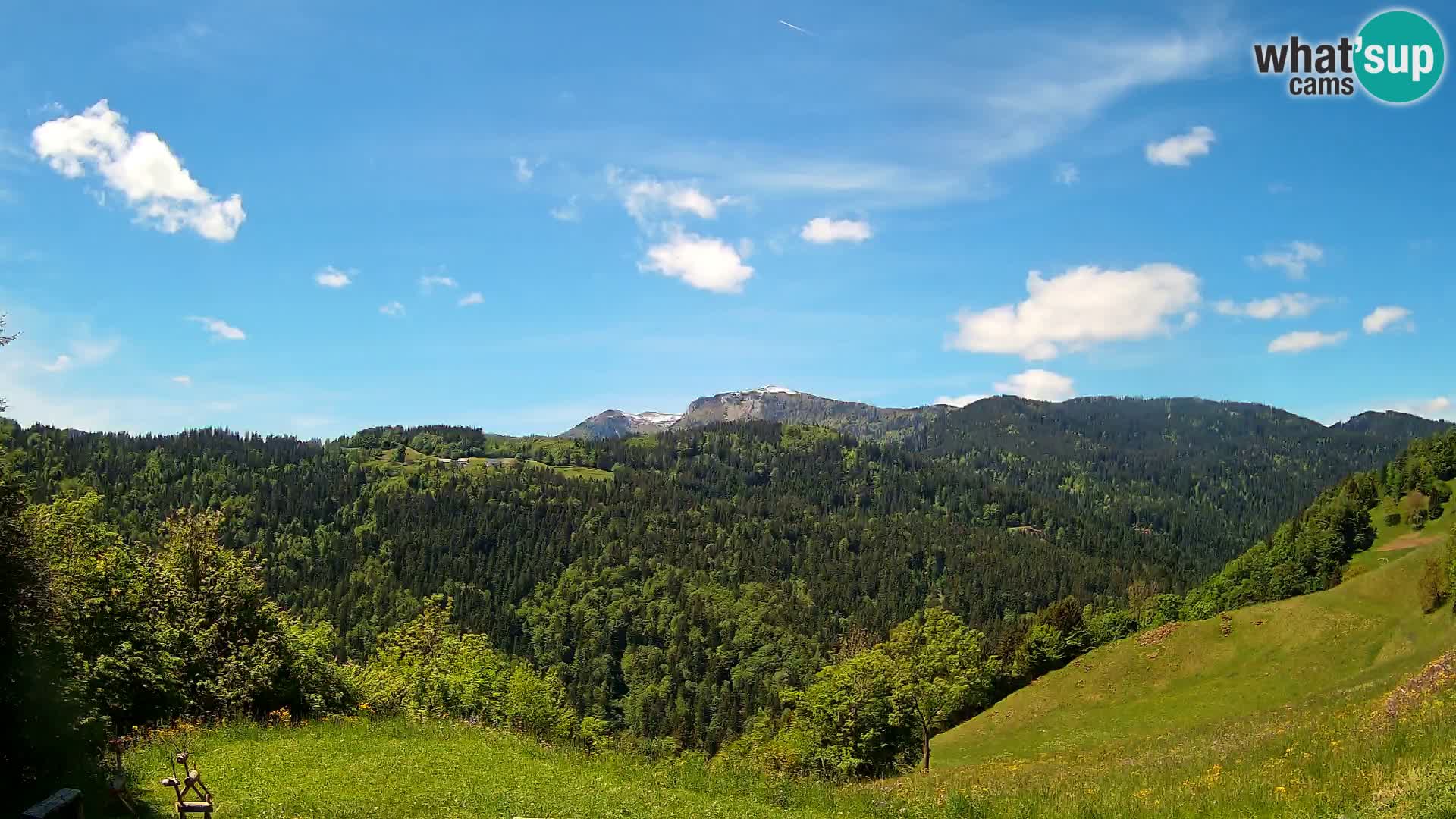 Webcam Brunarica Dražgoše – Live View of Ratitovec (1666 m)