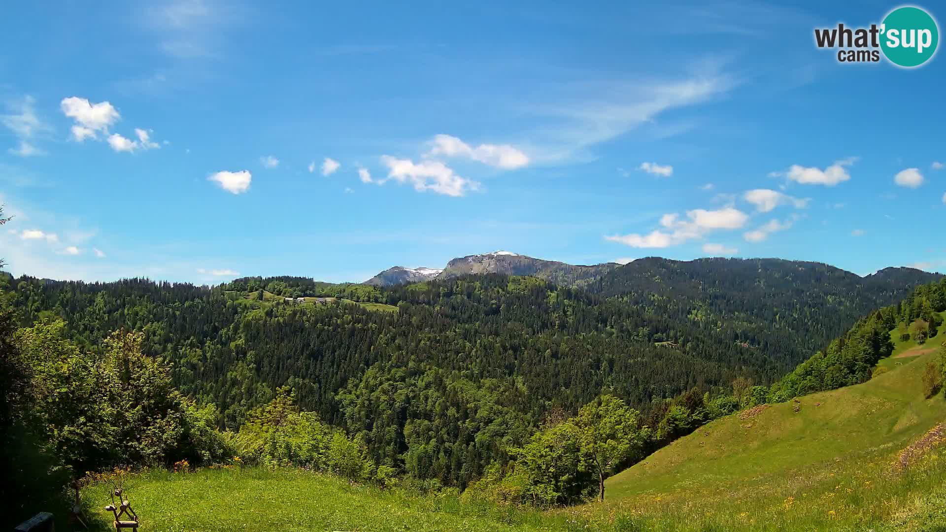 Webcam Brunarica Dražgoše – Live View of Ratitovec (1666 m)