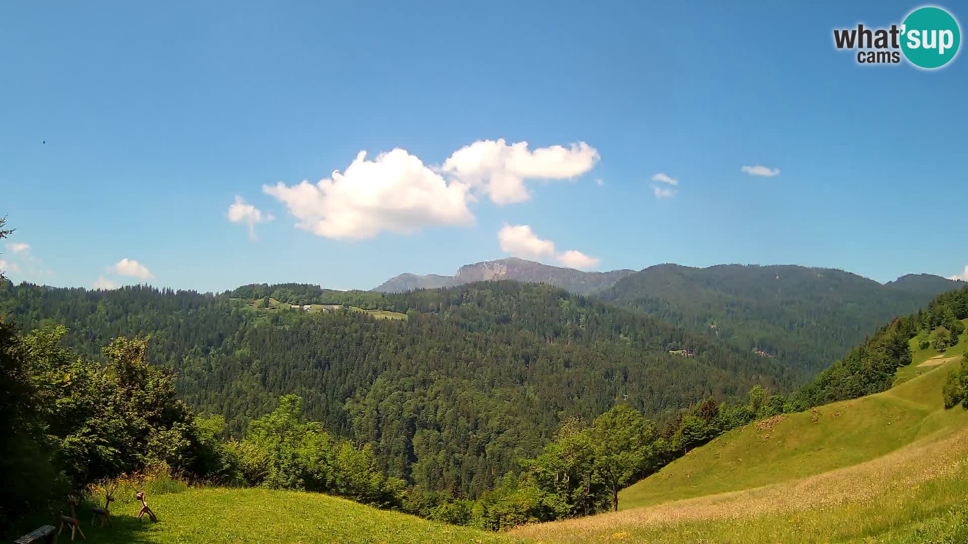 Webcam Brunarica Dražgoše – Live View of Ratitovec (1666 m)