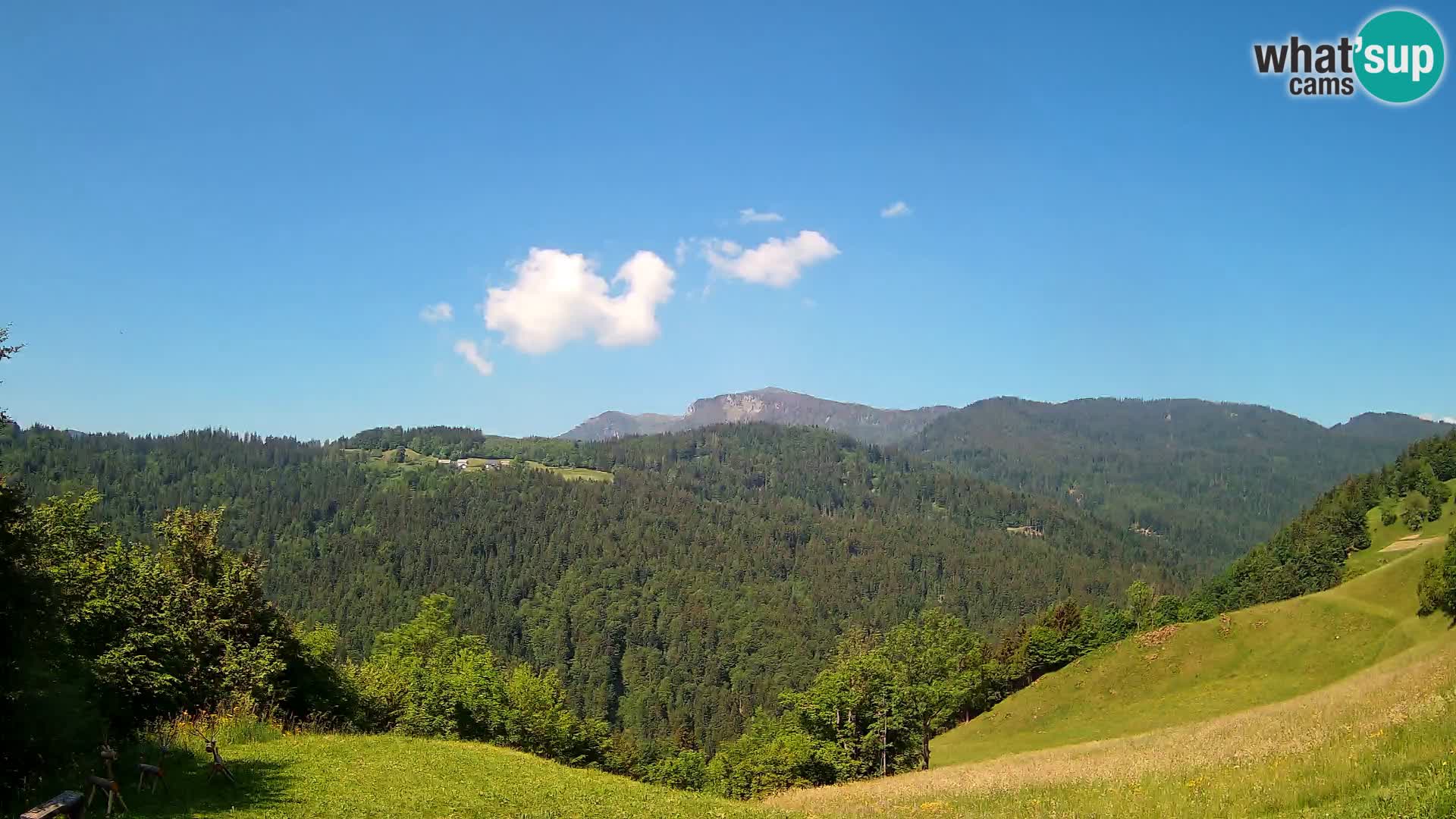 Webcam Brunarica Dražgoše – Vista live sul Ratitovec (1666 m)