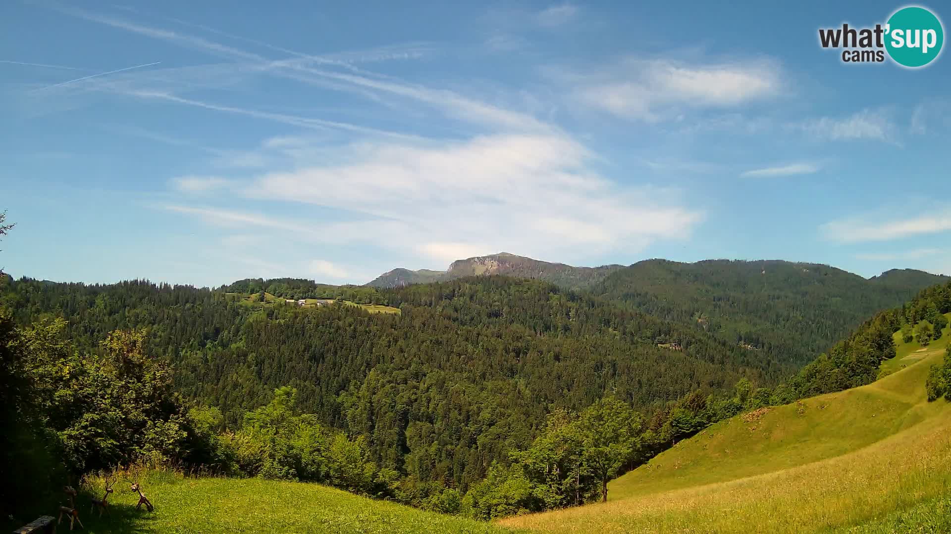 Webcam Brunarica Dražgoše – Live View of Ratitovec (1666 m)