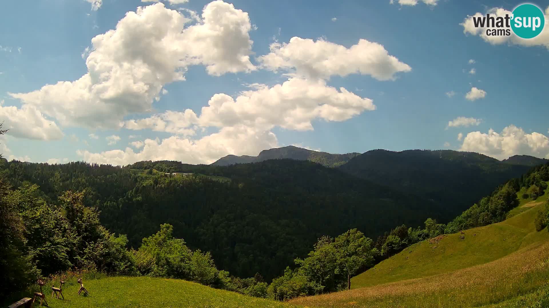 Webcam Brunarica Dražgoše – Live View of Ratitovec (1666 m)