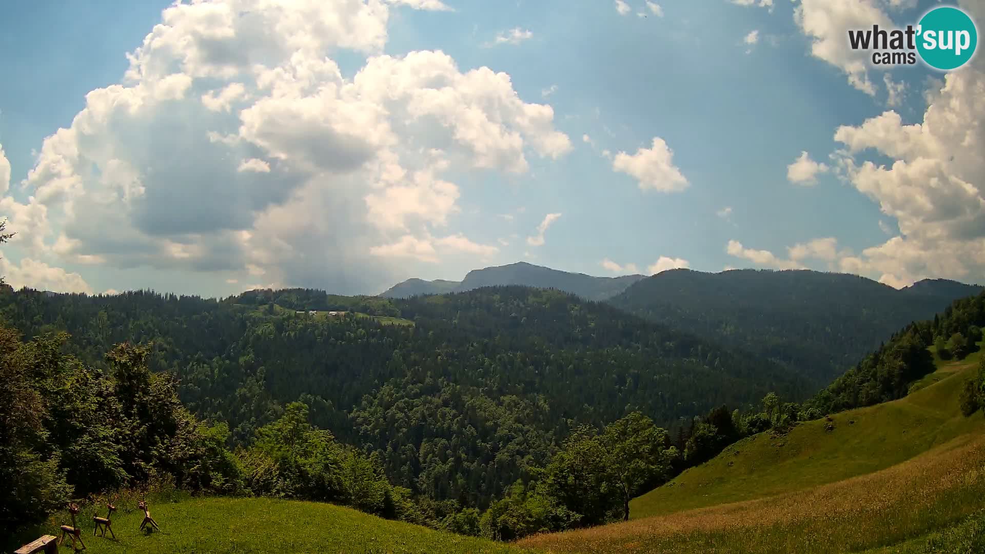 Webcam Brunarica Dražgoše – Live View of Ratitovec (1666 m)