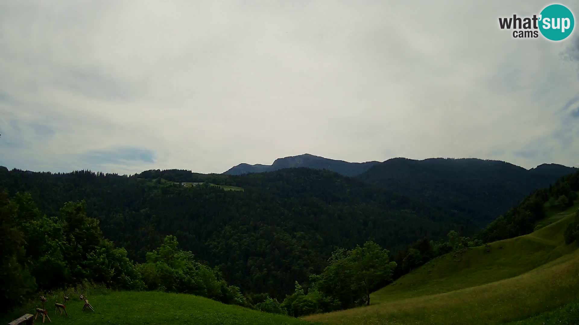 Spletna kamera Brunarica Dražgoše – Pogled v živo na Ratitovec (1666 m)