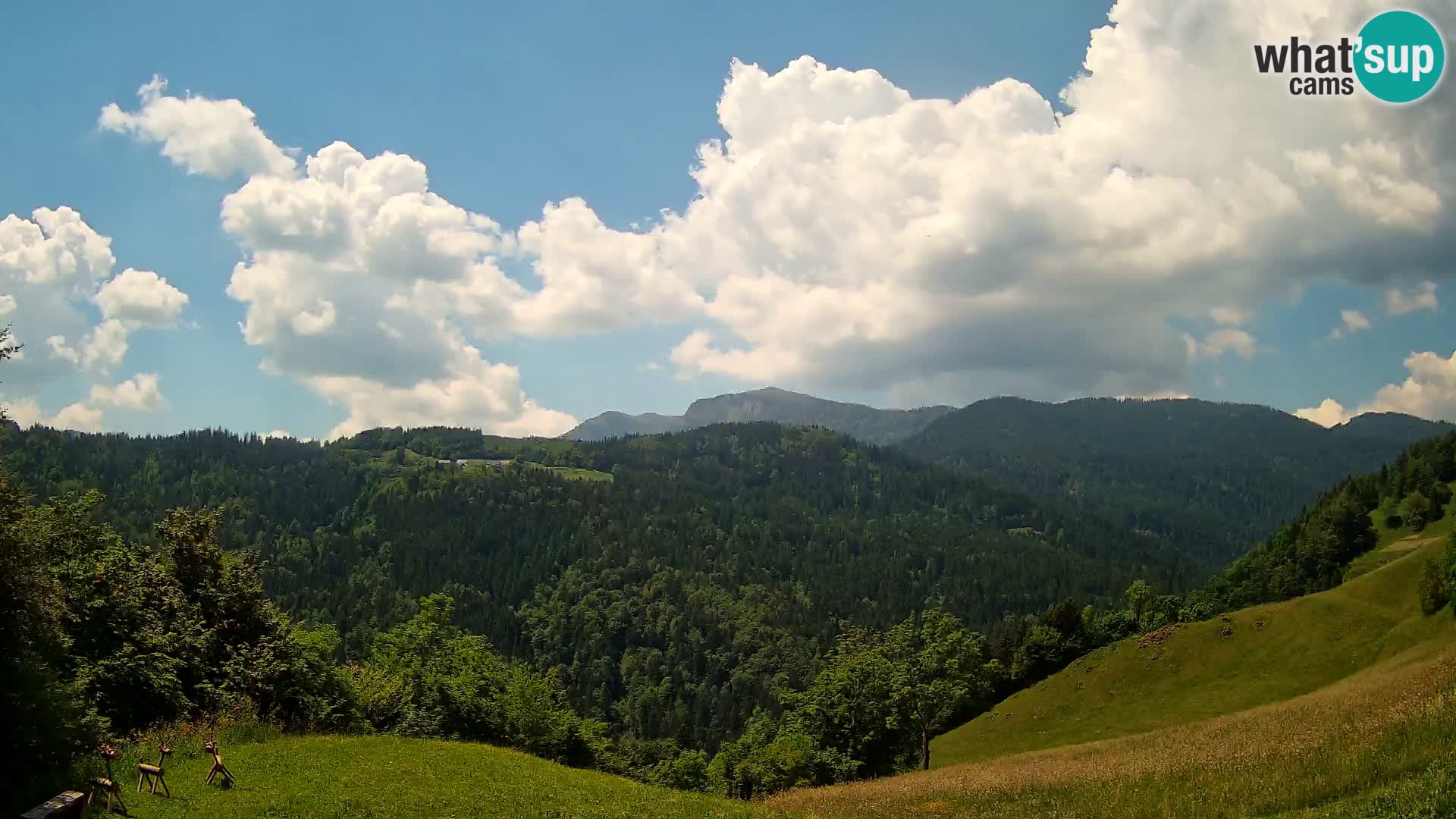 Webcam Brunarica Dražgoše – Live View of Ratitovec (1666 m)