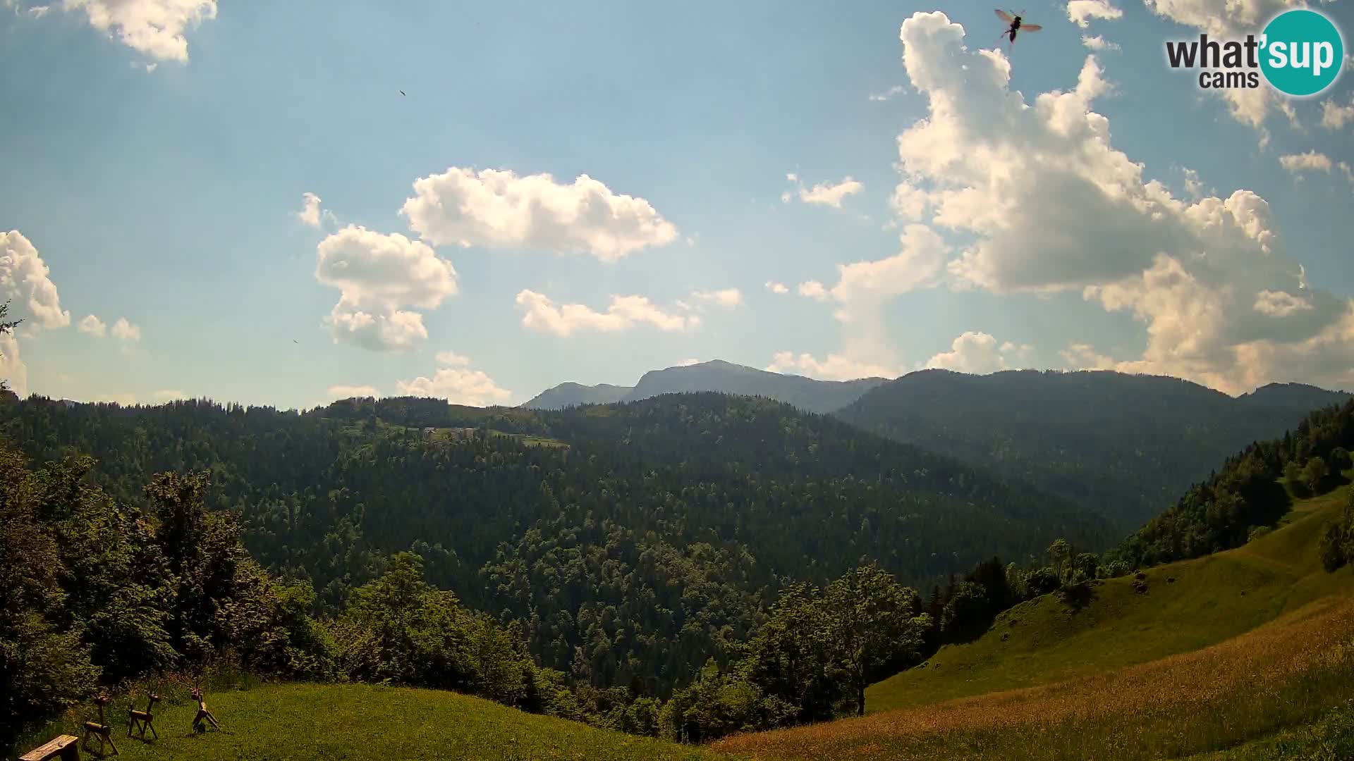 Webcam Brunarica Dražgoše – Liveblick auf Ratitovec (1666 m)