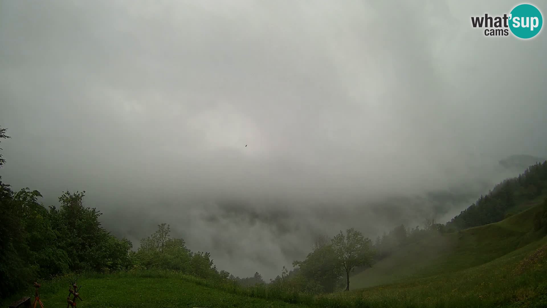 Webcam Brunarica Dražgoše – Live View of Ratitovec (1666 m)