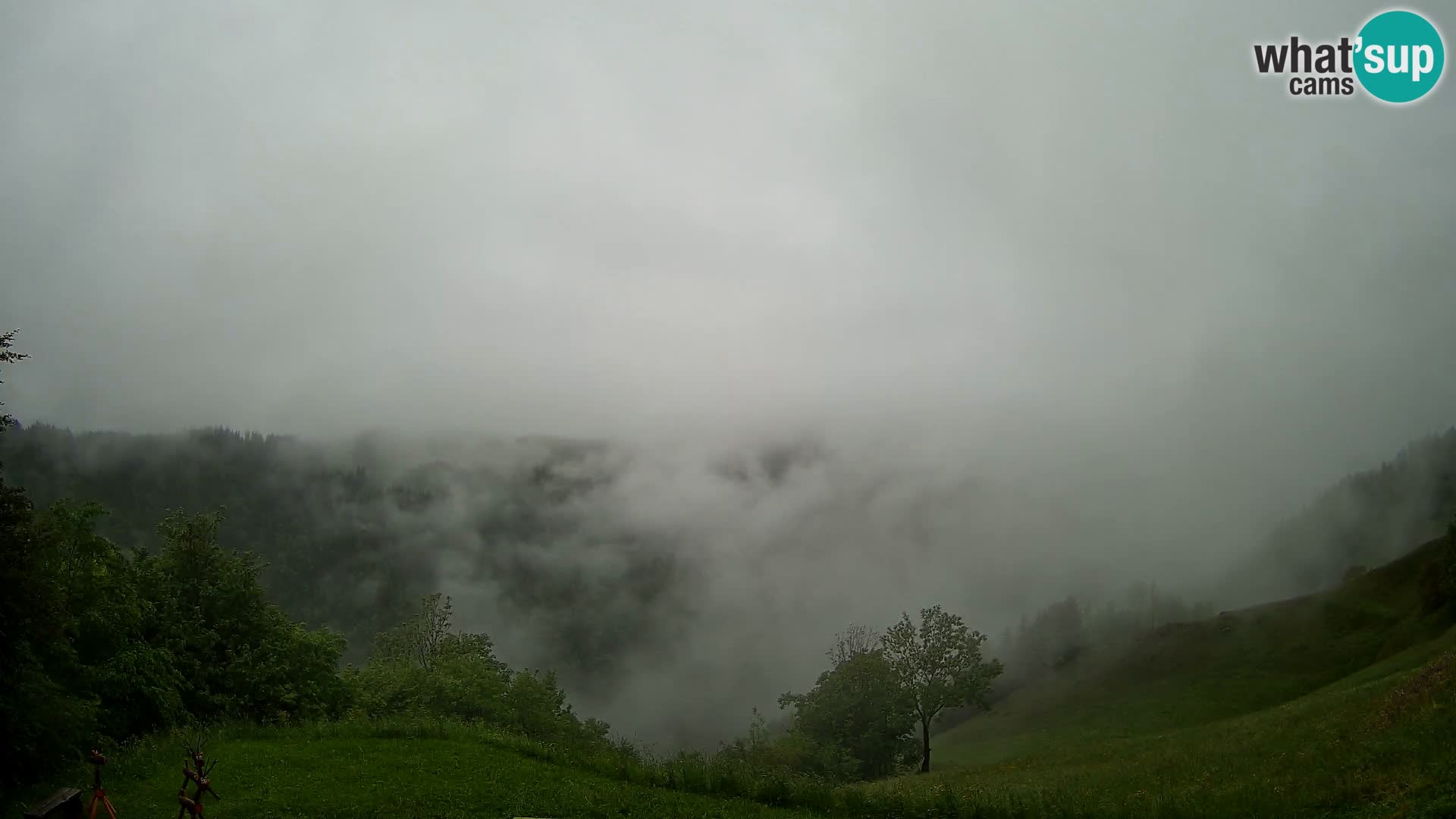 Webcam Brunarica Dražgoše – Live View of Ratitovec (1666 m)