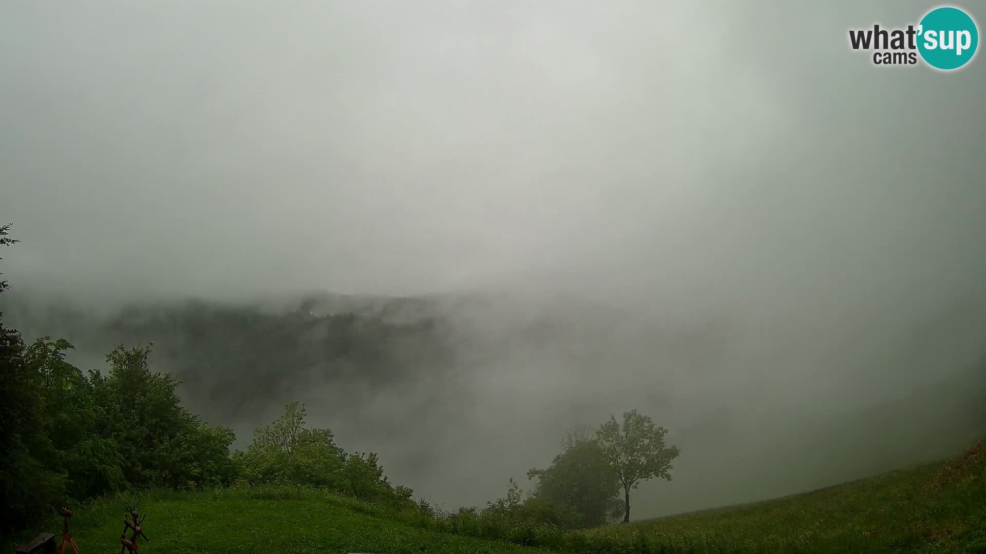 Webcam Brunarica Dražgoše – Live View of Ratitovec (1666 m)