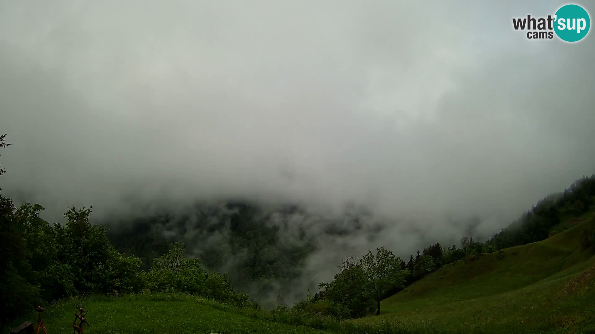 Webcam Brunarica Dražgoše – Live View of Ratitovec (1666 m)
