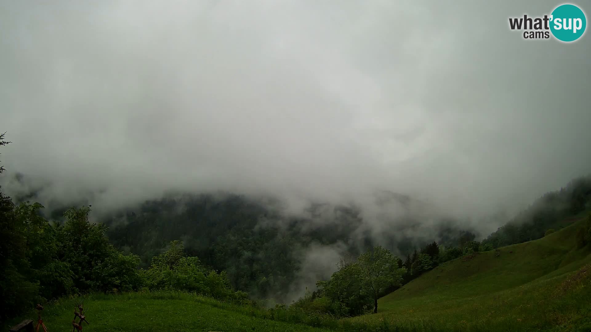 Webcam Brunarica Dražgoše – Live View of Ratitovec (1666 m)