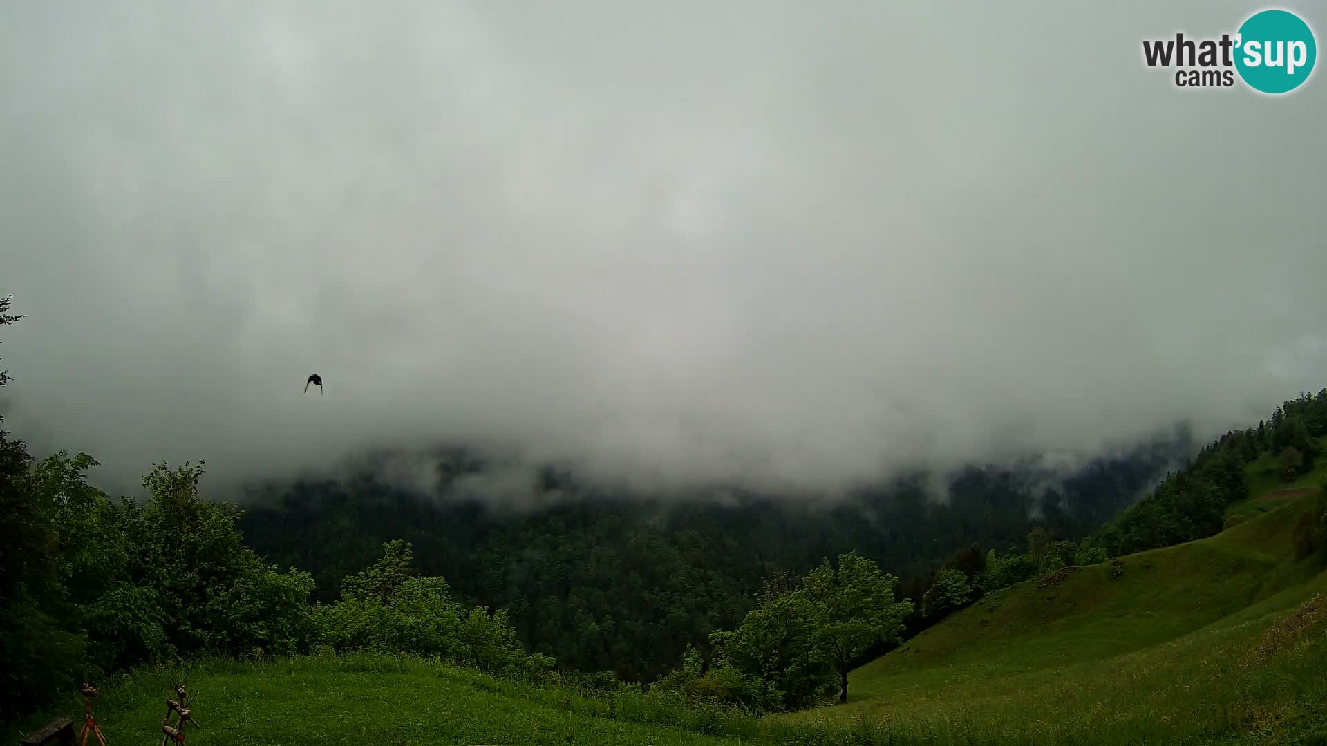 Spletna kamera Brunarica Dražgoše – Pogled v živo na Ratitovec (1666 m)