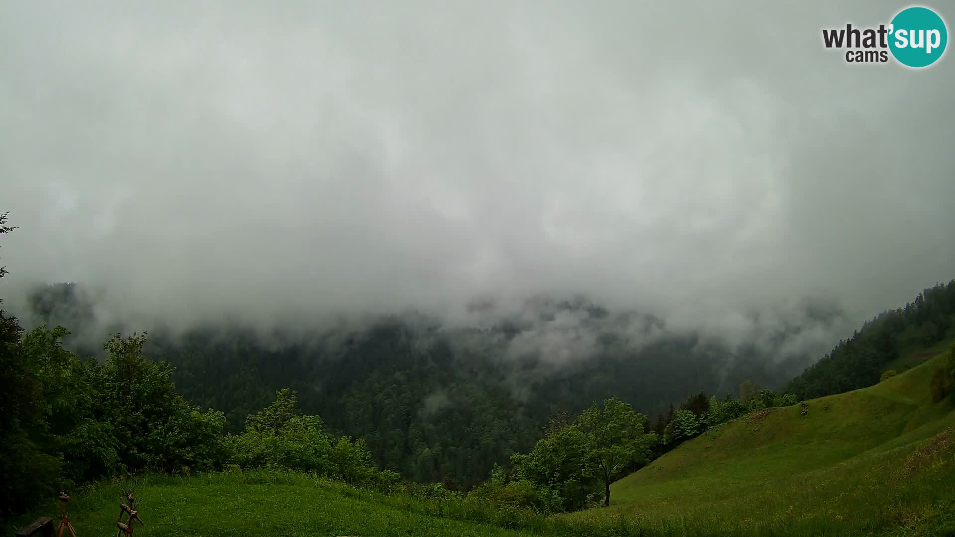 Webcam Brunarica Dražgoše – Live View of Ratitovec (1666 m)