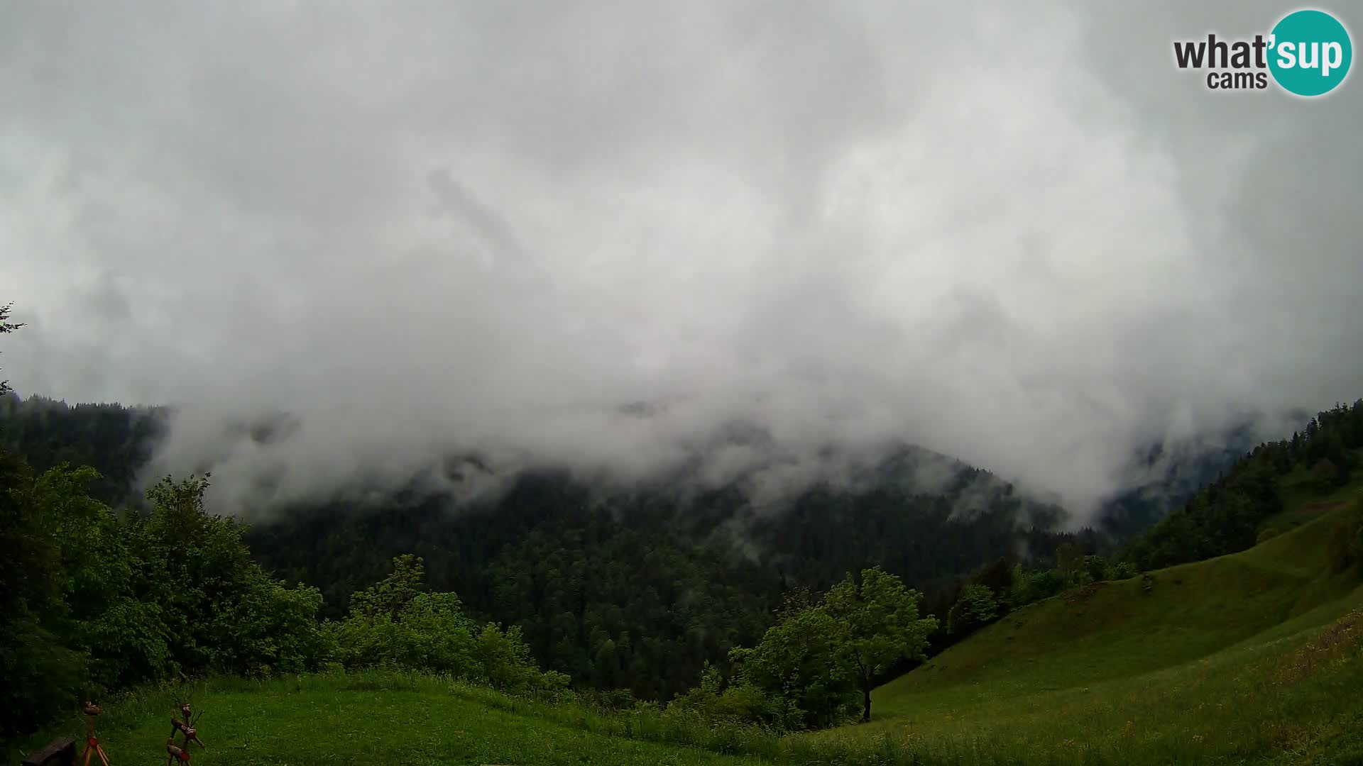 Webcam Brunarica Dražgoše – Live View of Ratitovec (1666 m)