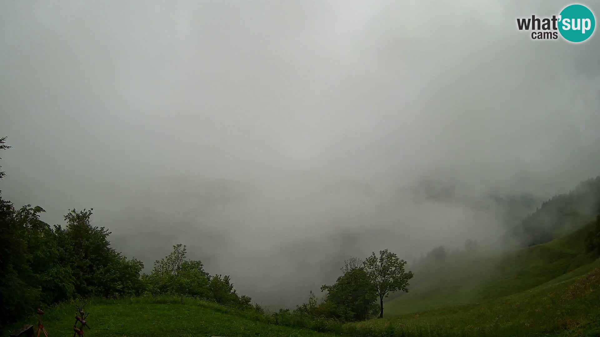 Webcam Brunarica Dražgoše – Live View of Ratitovec (1666 m)
