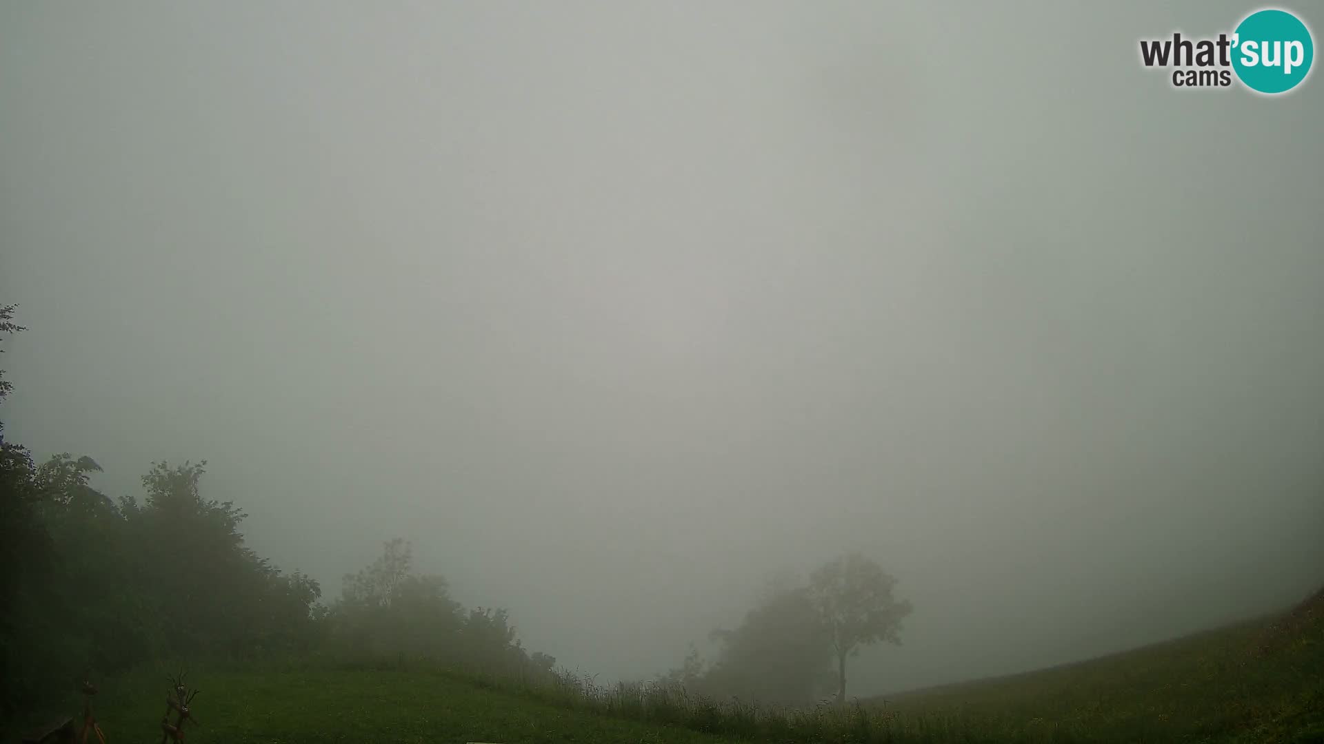 Webcam Brunarica Dražgoše – Live View of Ratitovec (1666 m)