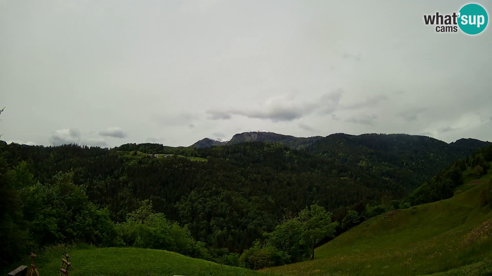 Webcam Brunarica Dražgoše – Live View of Ratitovec (1666 m)