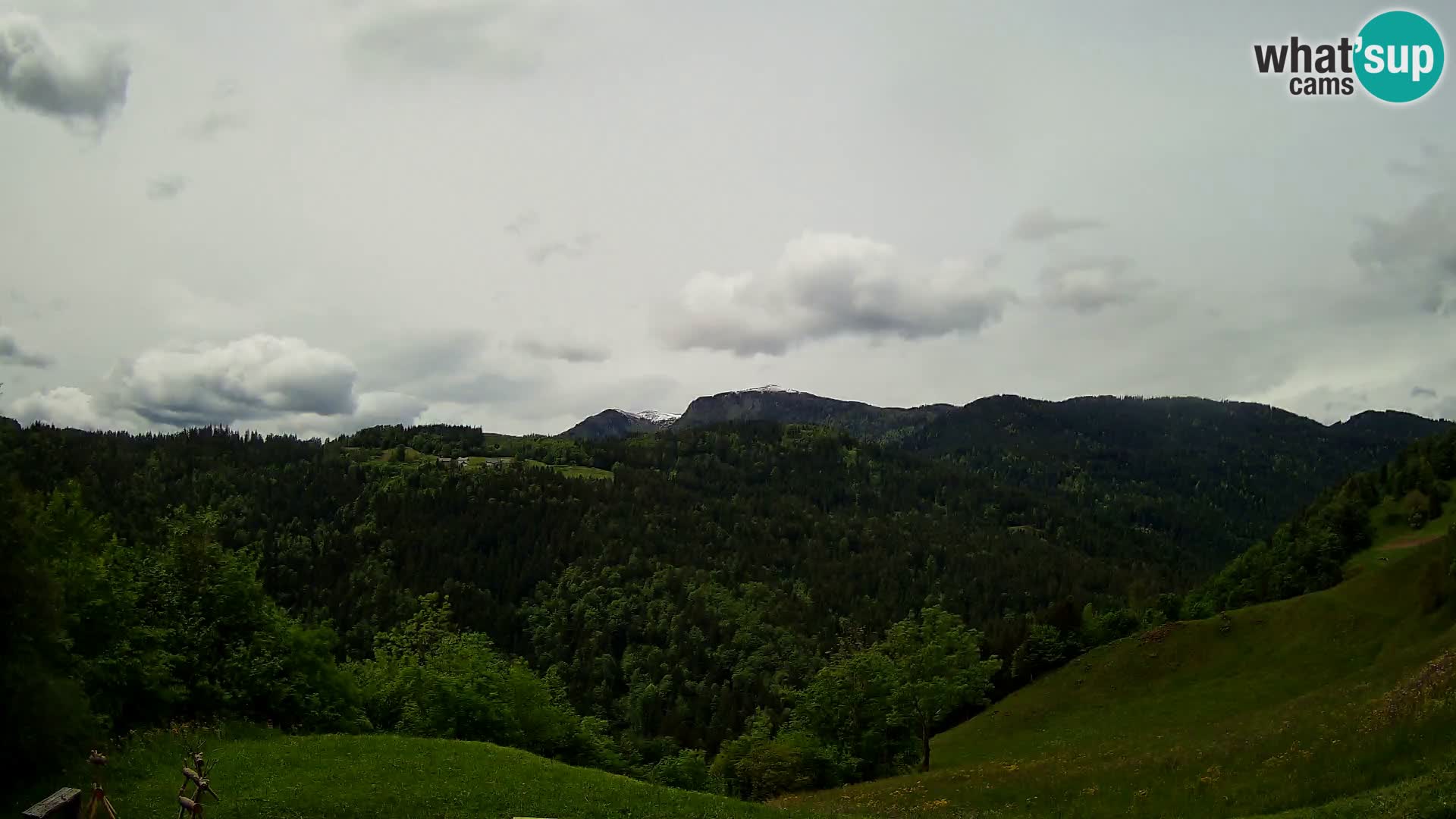 Webcam Brunarica Dražgoše – Live View of Ratitovec (1666 m)