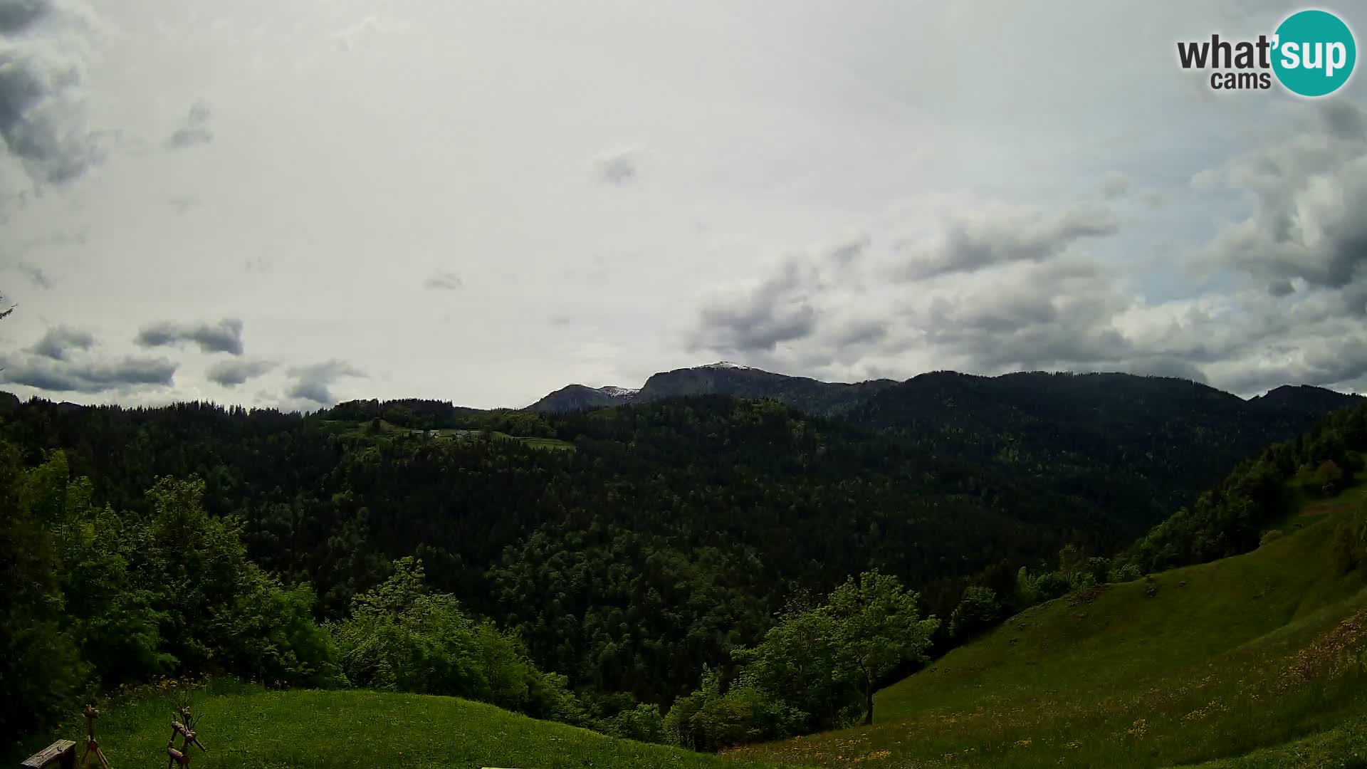 Webcam Brunarica Dražgoše – Live View of Ratitovec (1666 m)