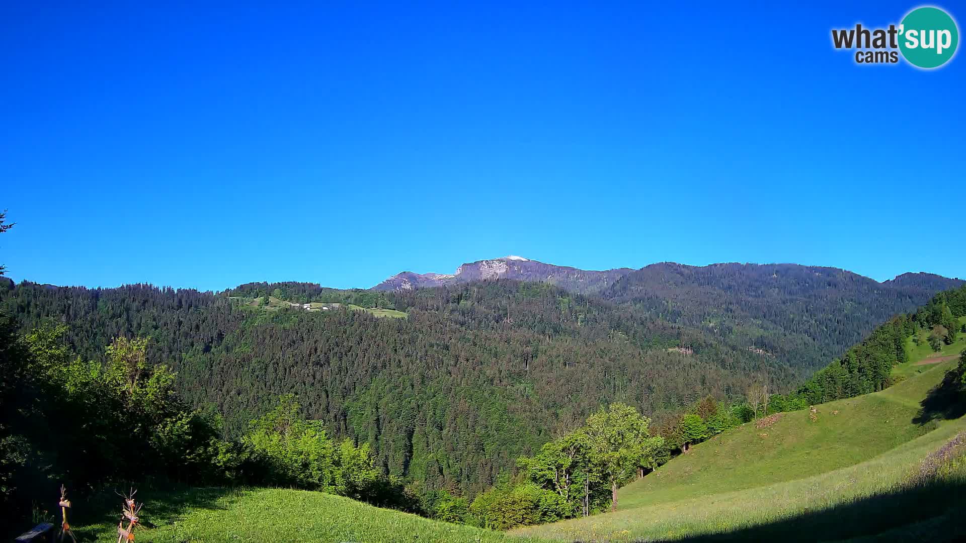 Webcam Brunarica Dražgoše – Live View of Ratitovec (1666 m)