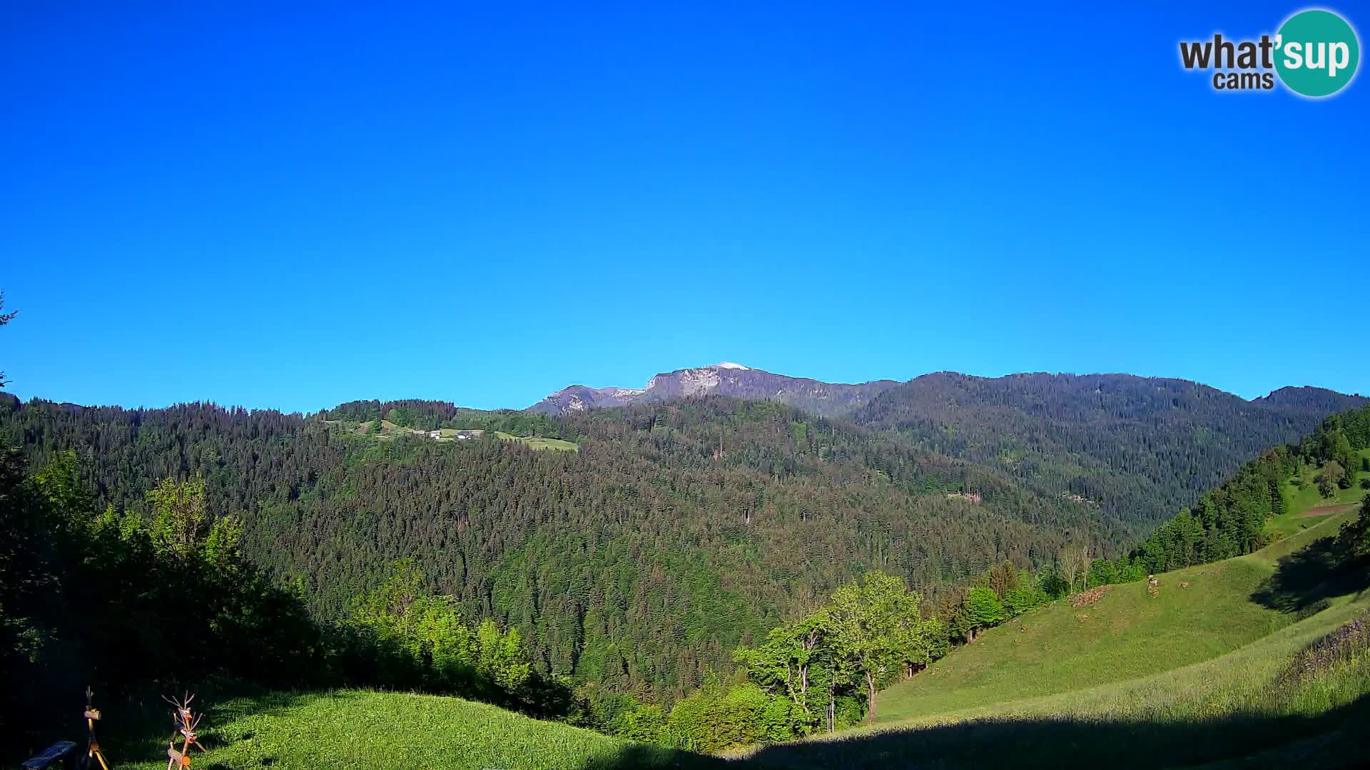 Webcam Brunarica Dražgoše – Live View of Ratitovec (1666 m)