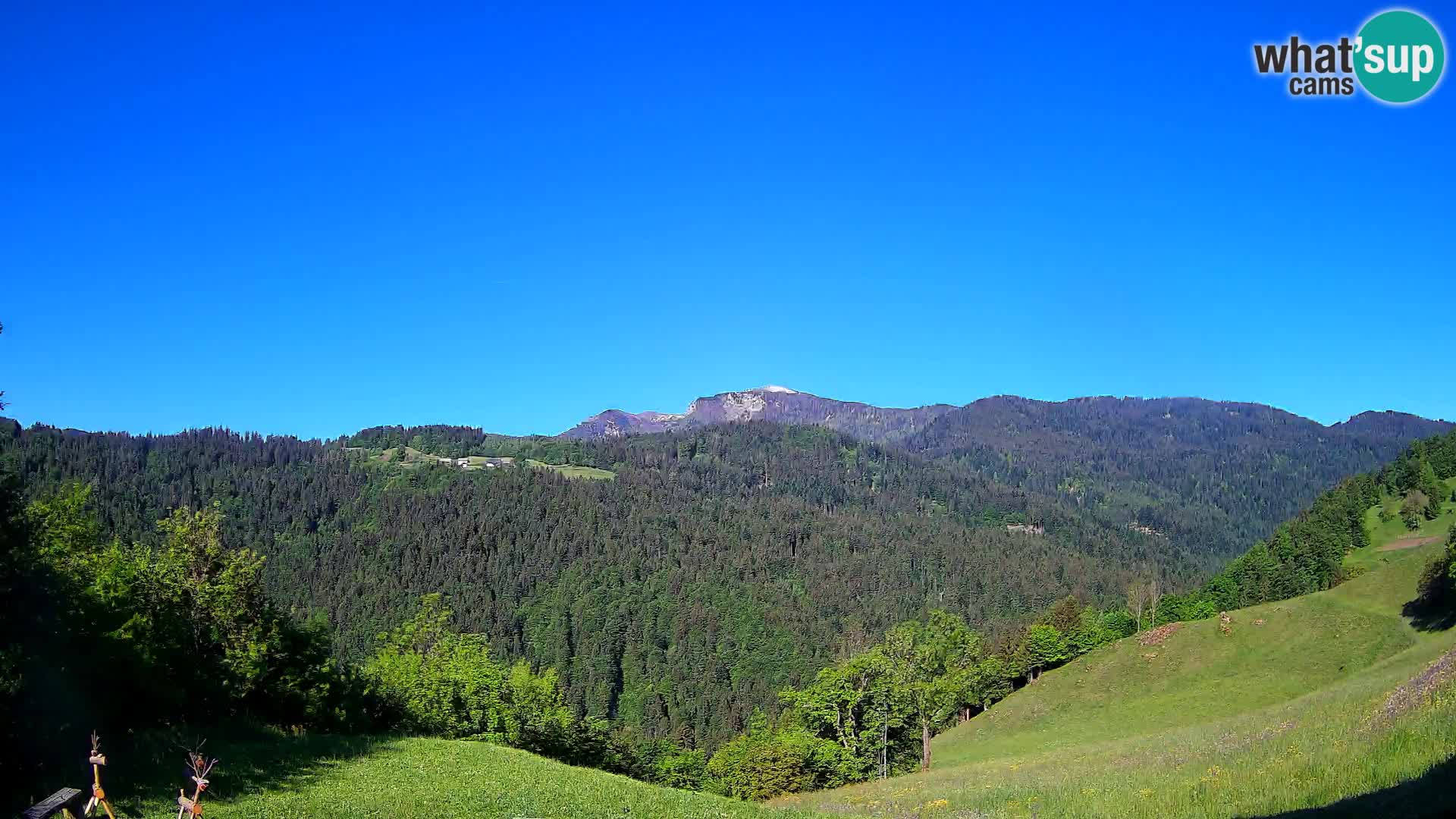 Web kamera Brunarica Dražgoše – Pogled uživo na Ratitovec (1666 m)