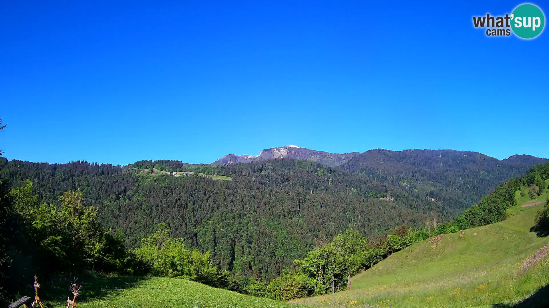 Webcam Brunarica Dražgoše – Live View of Ratitovec (1666 m)