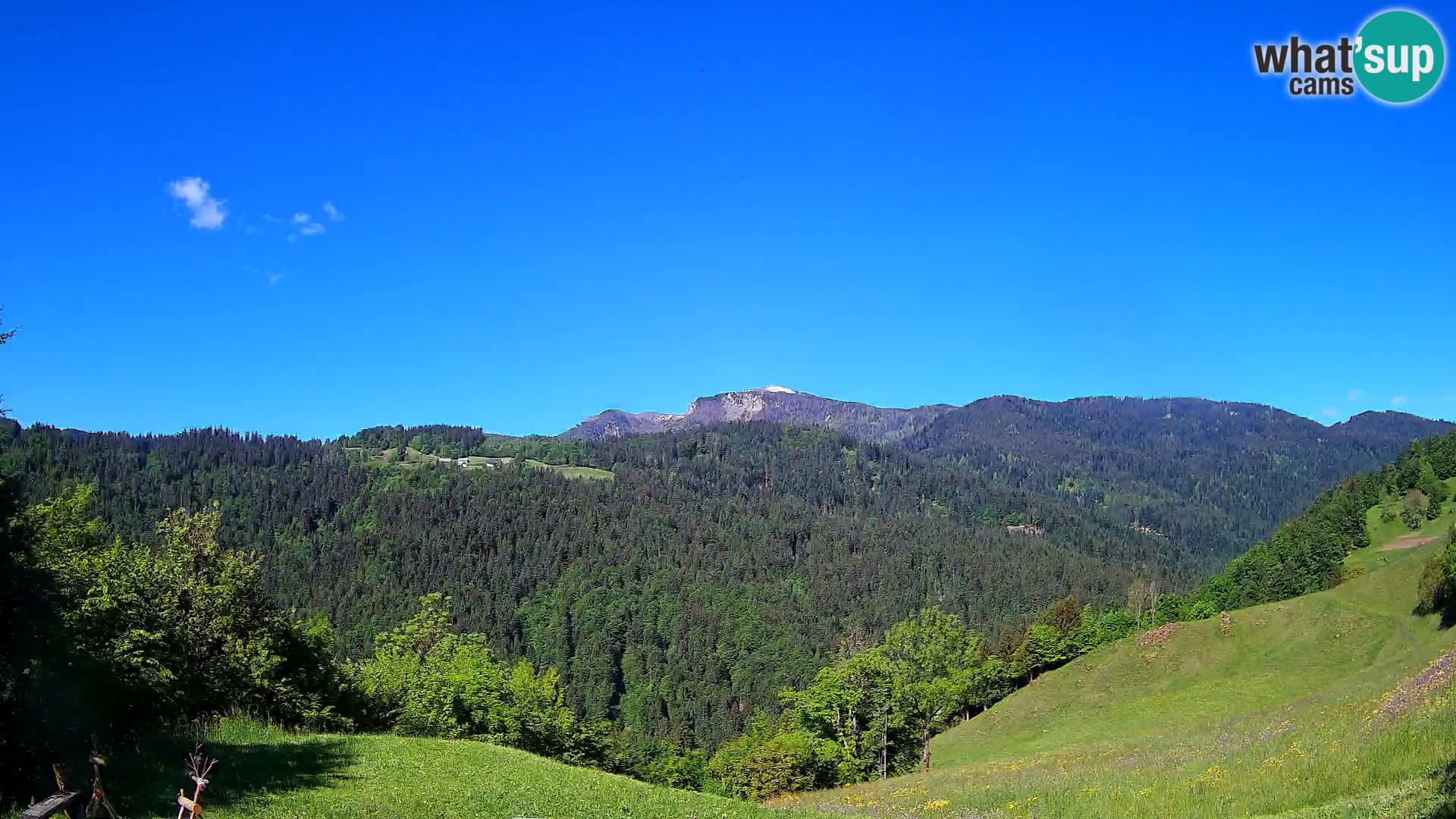 Webcam Brunarica Dražgoše – Live View of Ratitovec (1666 m)