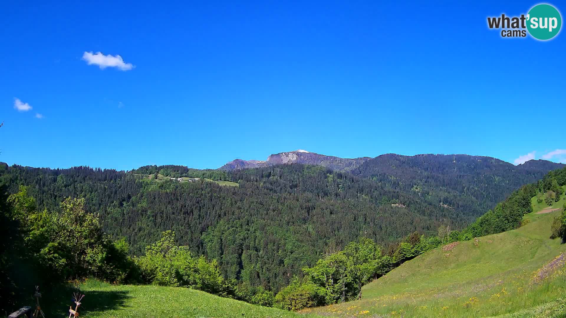 Web kamera Brunarica Dražgoše – Pogled uživo na Ratitovec (1666 m)