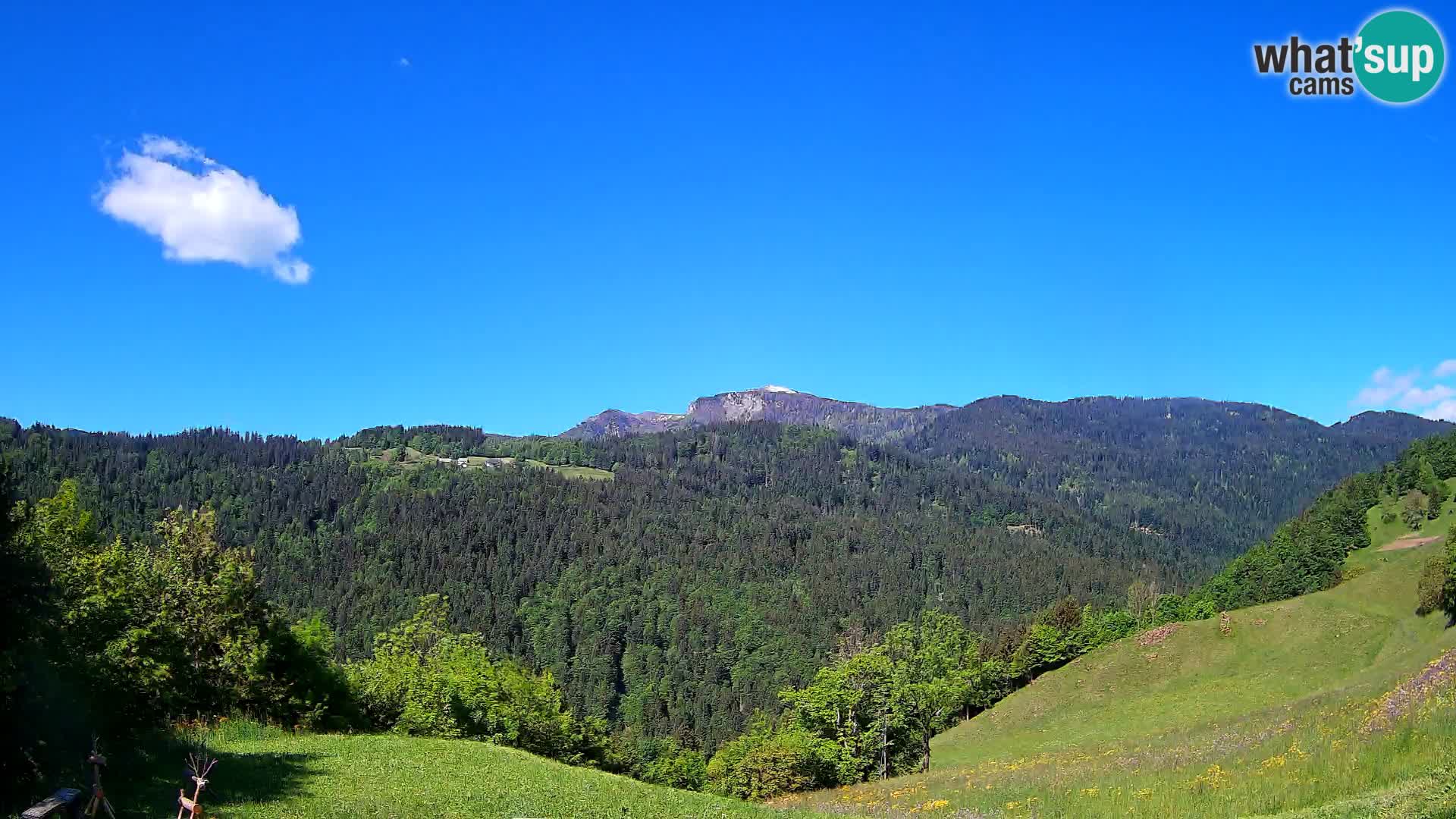 Web kamera Brunarica Dražgoše – Pogled uživo na Ratitovec (1666 m)