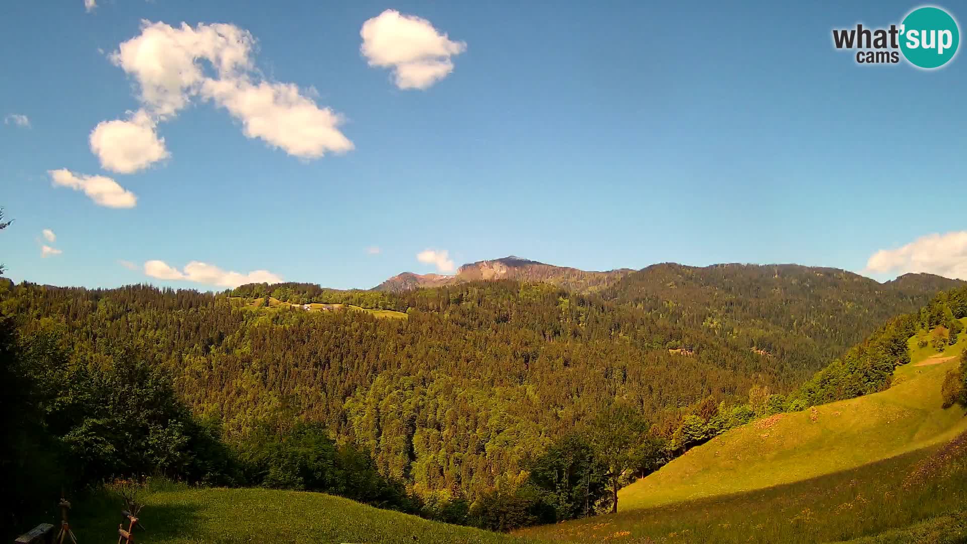 Webcam Brunarica Dražgoše – Live View of Ratitovec (1666 m)
