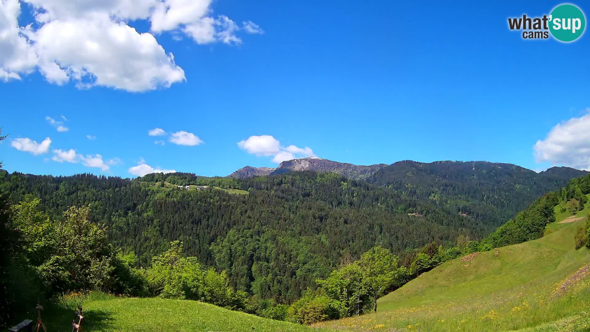Webcam Brunarica Dražgoše – Live View of Ratitovec (1666 m)