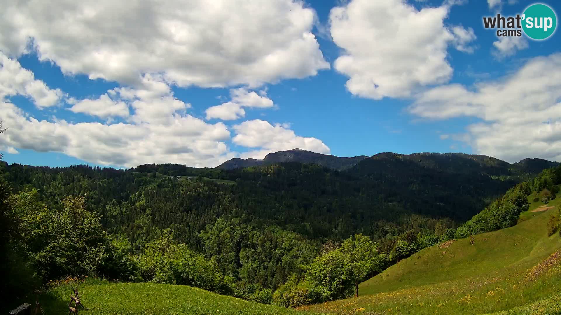 Webcam Brunarica Dražgoše – Live View of Ratitovec (1666 m)