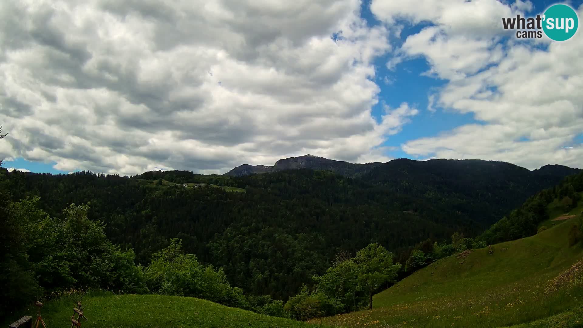 Webcam Brunarica Dražgoše – Live View of Ratitovec (1666 m)