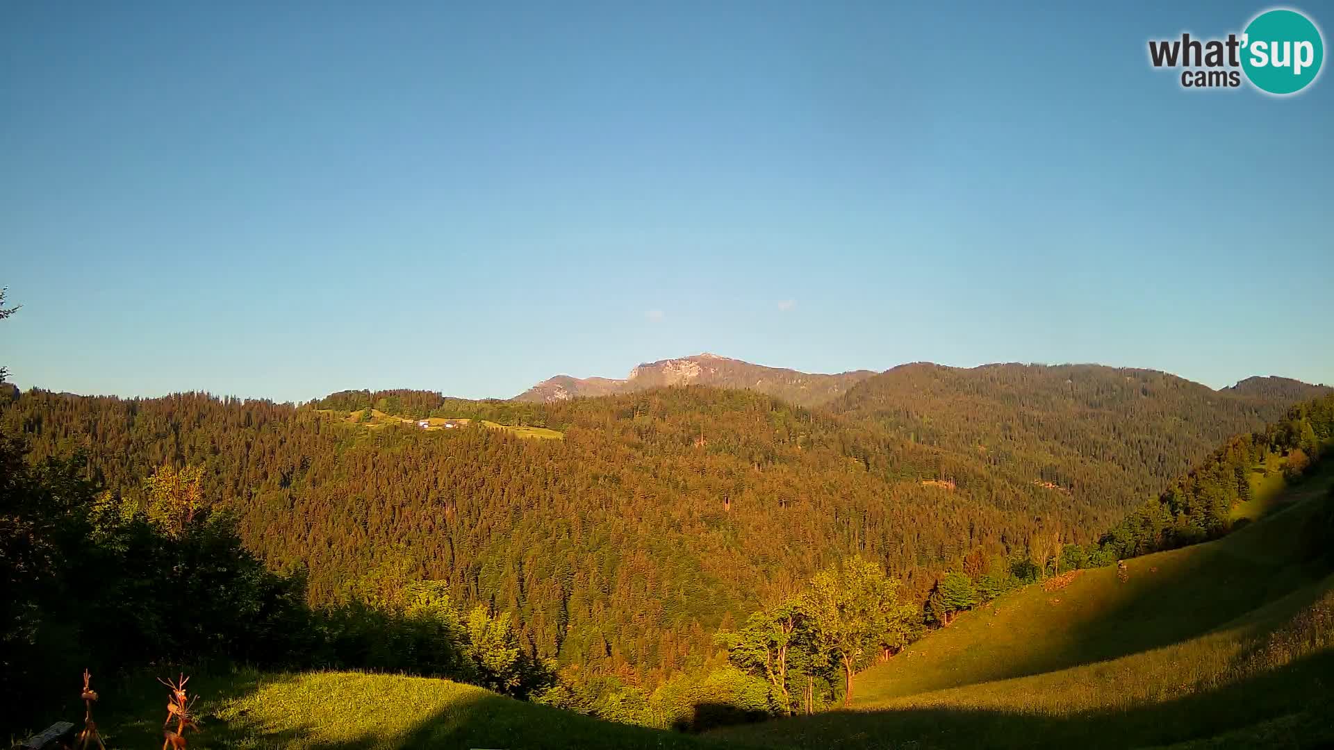 Webcam Brunarica Dražgoše – Live View of Ratitovec (1666 m)