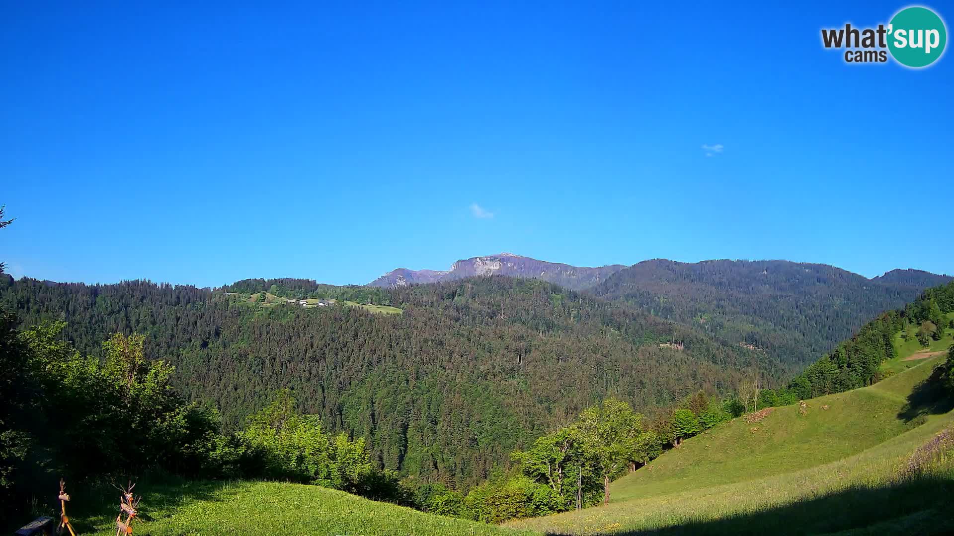 Webcam Brunarica Dražgoše – Live View of Ratitovec (1666 m)