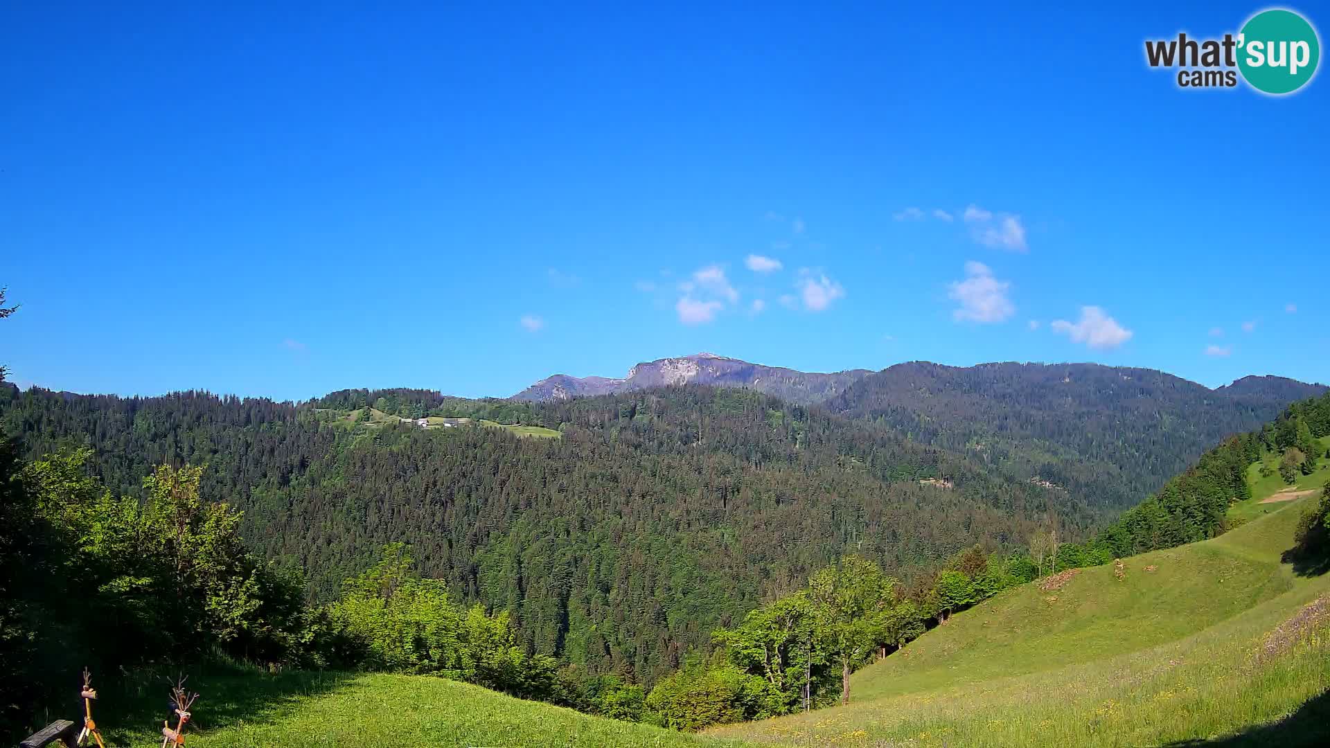Webcam Brunarica Dražgoše – Live View of Ratitovec (1666 m)
