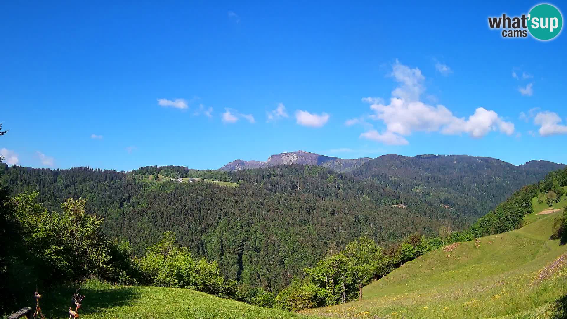 Webcam Brunarica Dražgoše – Live View of Ratitovec (1666 m)