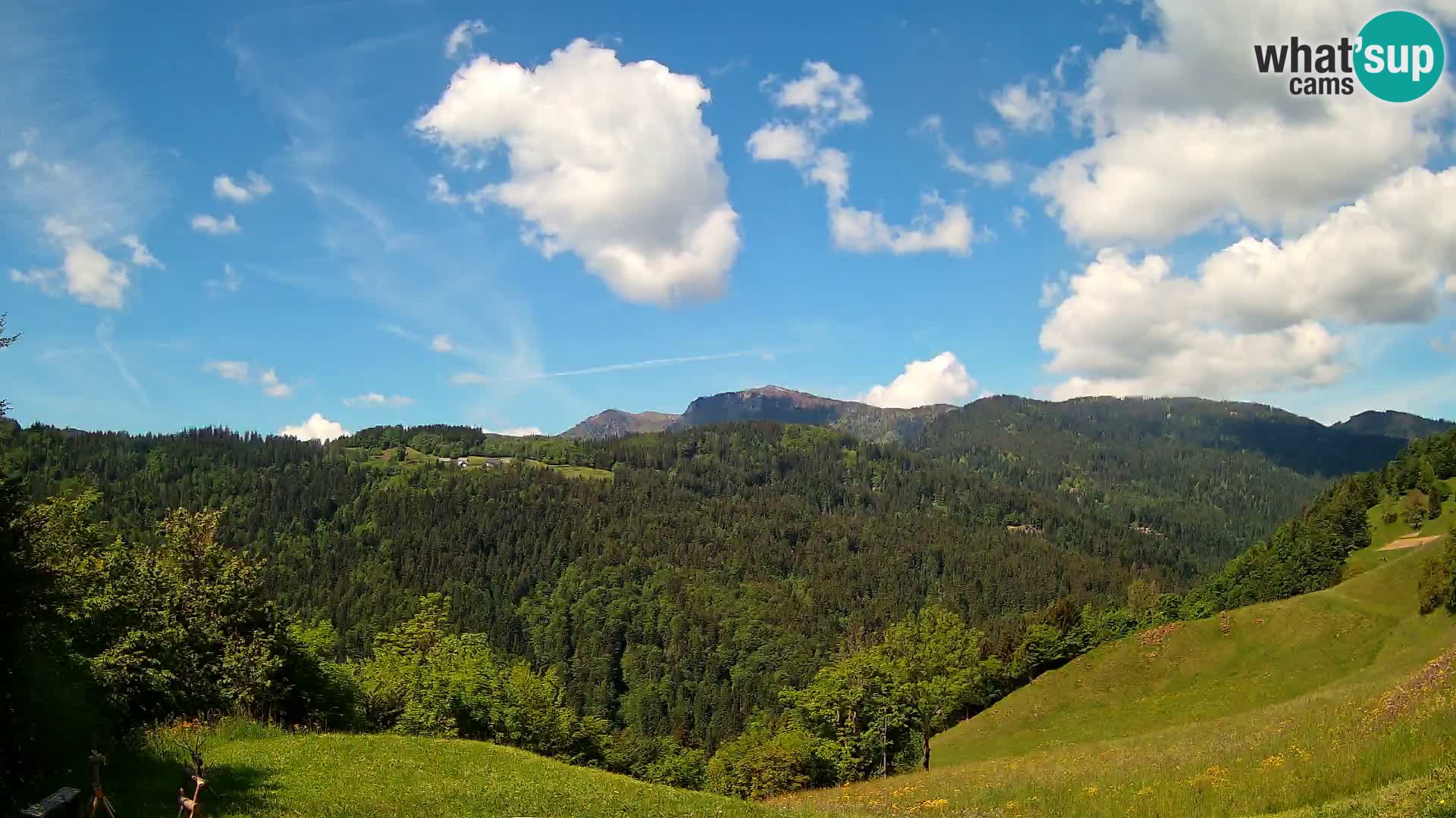 Webcam Brunarica Dražgoše – Liveblick auf Ratitovec (1666 m)