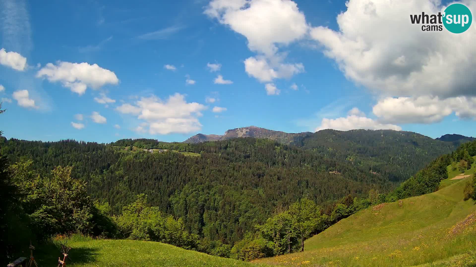 Webcam Brunarica Dražgoše – Vista live sul Ratitovec (1666 m)